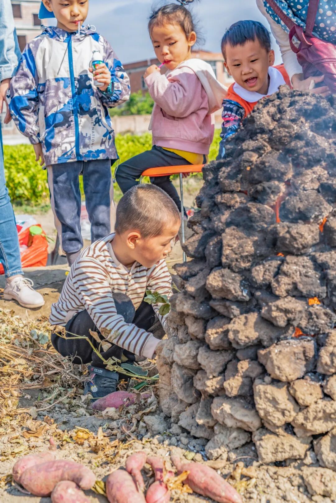 69shuba.ac短剧资讯网