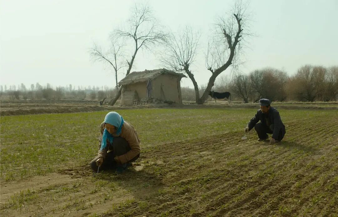 69shuba.ac短剧资讯网