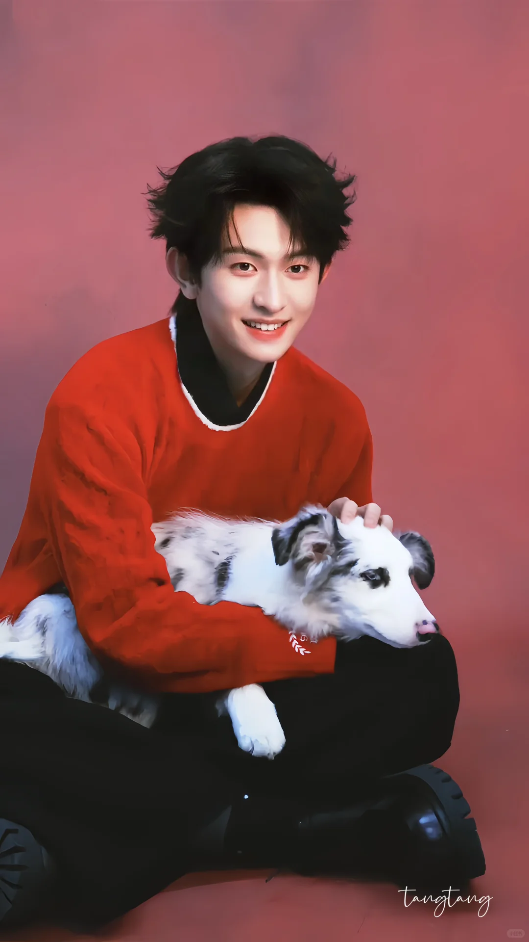 69shuba.ac短剧资讯网