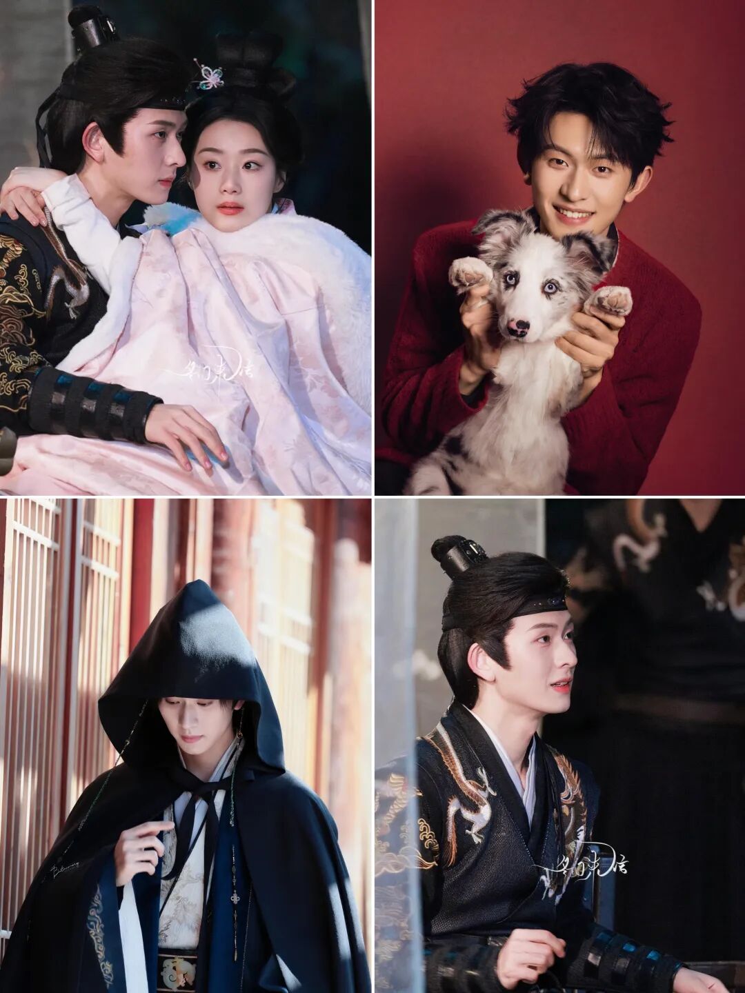 69shuba.ac短剧资讯网