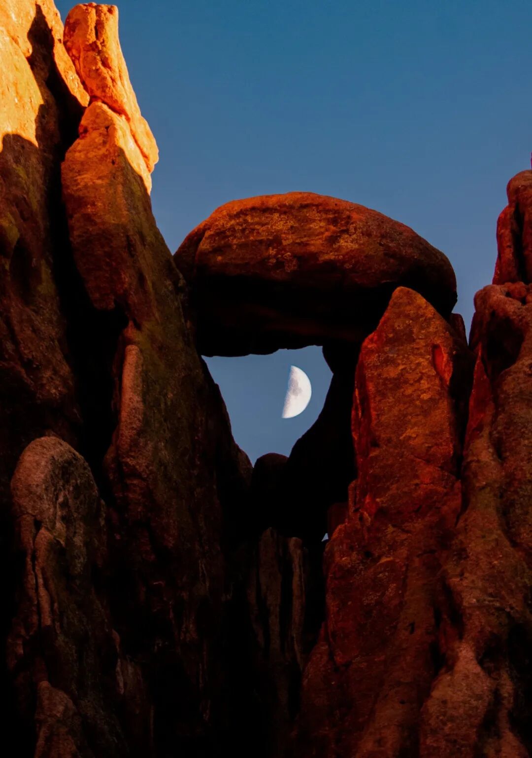 特别番外-月度总结（各位十一快乐！）