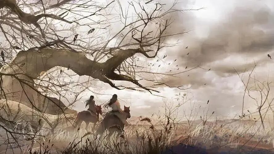 69shuba.ac短剧资讯网