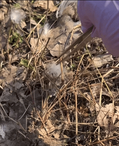 69shuba.ac短剧资讯网