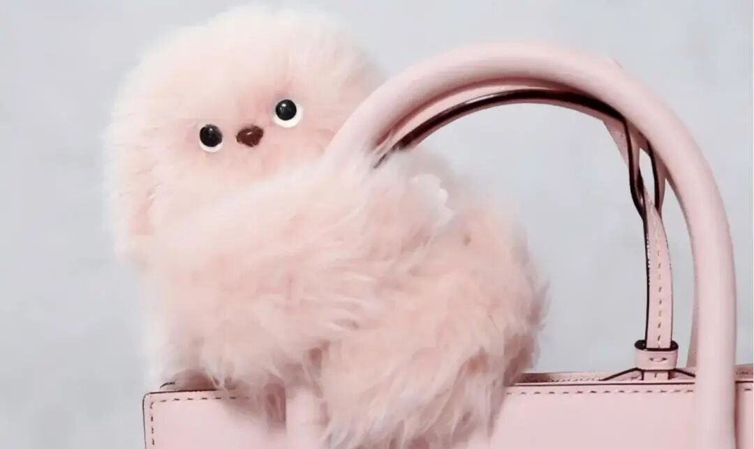 69shuba.ac短剧资讯网