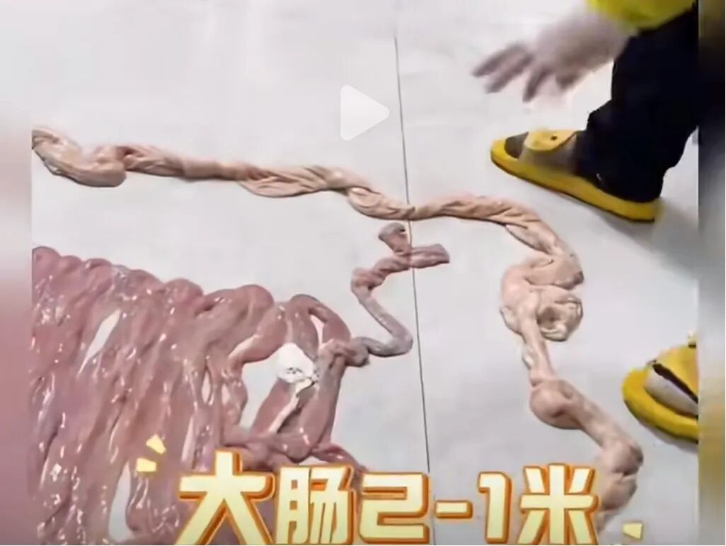 69shuba.ac短剧资讯网