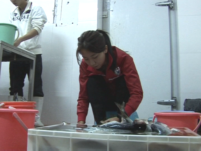 69shuba.ac短剧资讯网