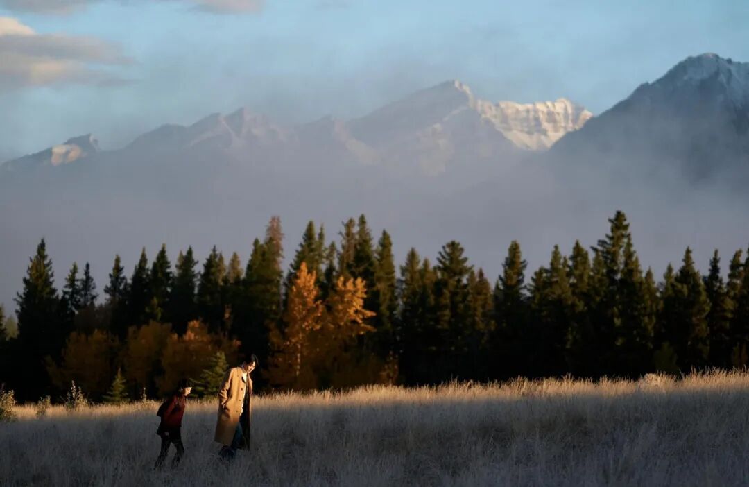 69shuba.ac短剧资讯网