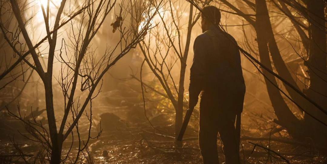 69shuba.ac短剧资讯网