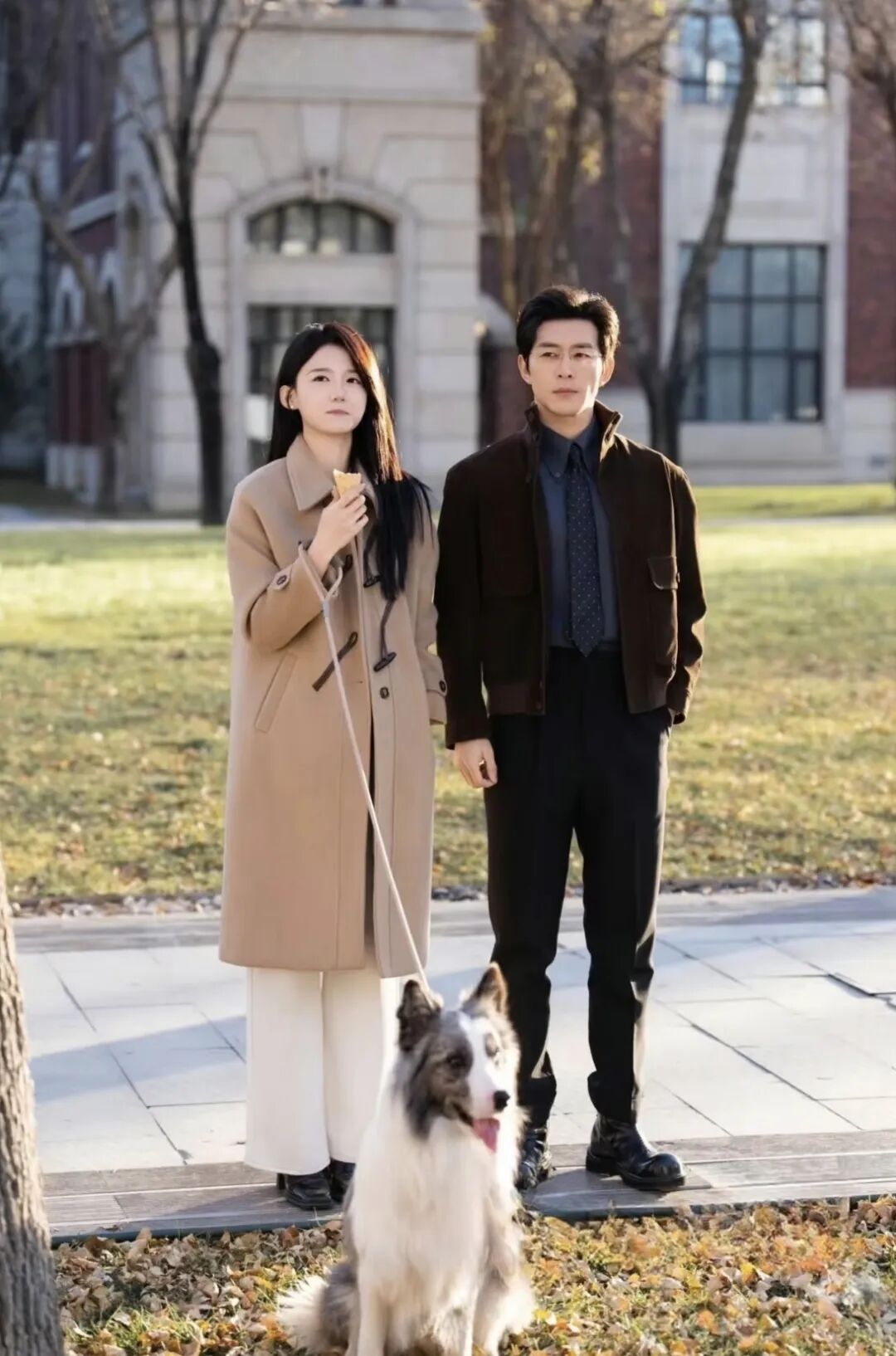 69shuba.ac短剧资讯网