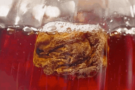 69shuba.ac短剧资讯网