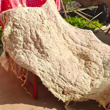 69shuba.ac短剧资讯网