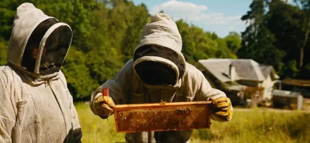 69shuba.ac短剧资讯网