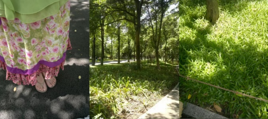 69shuba.ac短剧资讯网