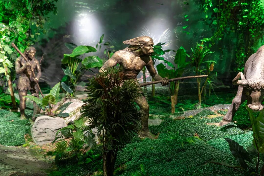 69shuba.ac短剧资讯网