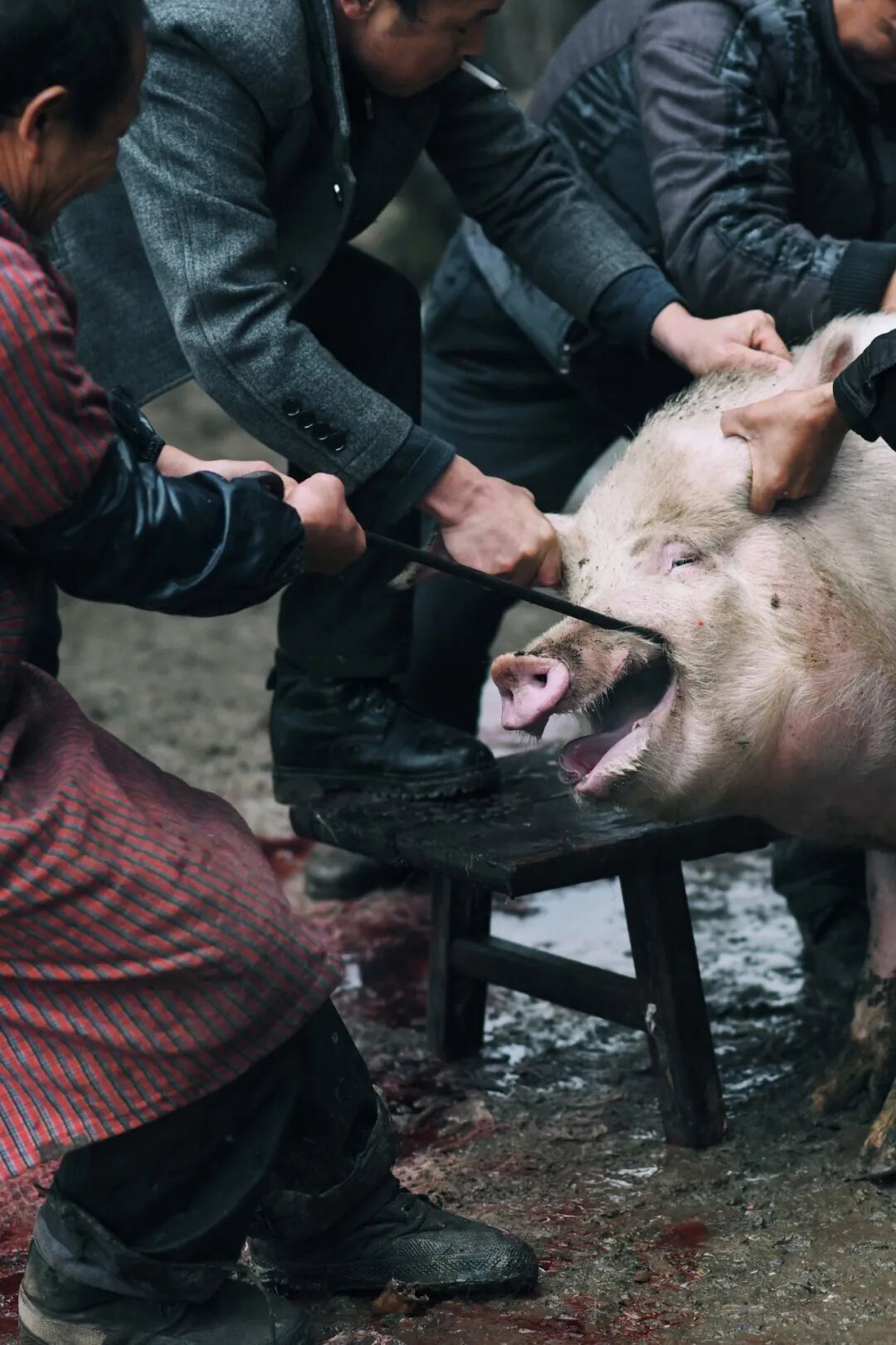 69shuba.ac短剧资讯网