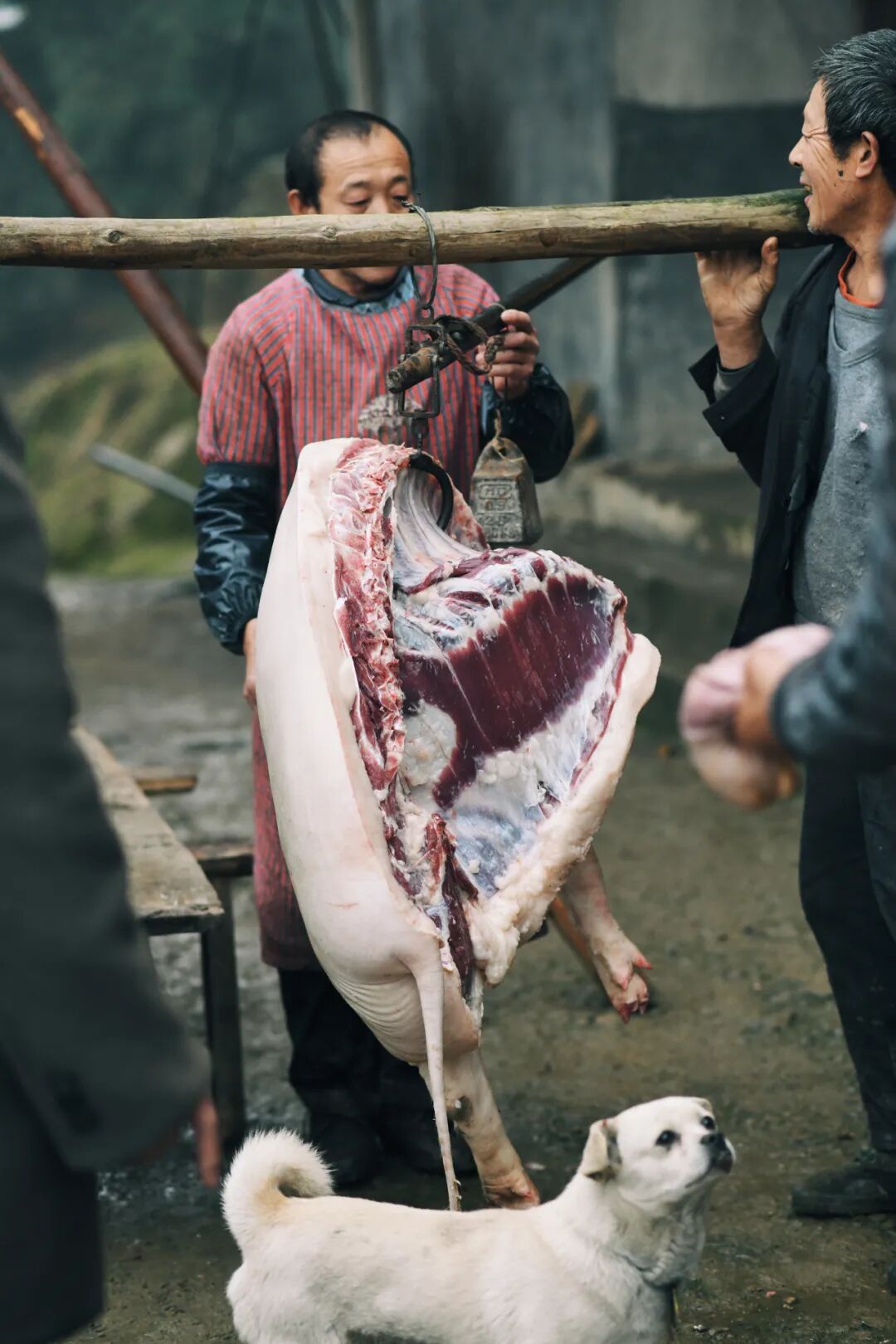 69shuba.ac短剧资讯网