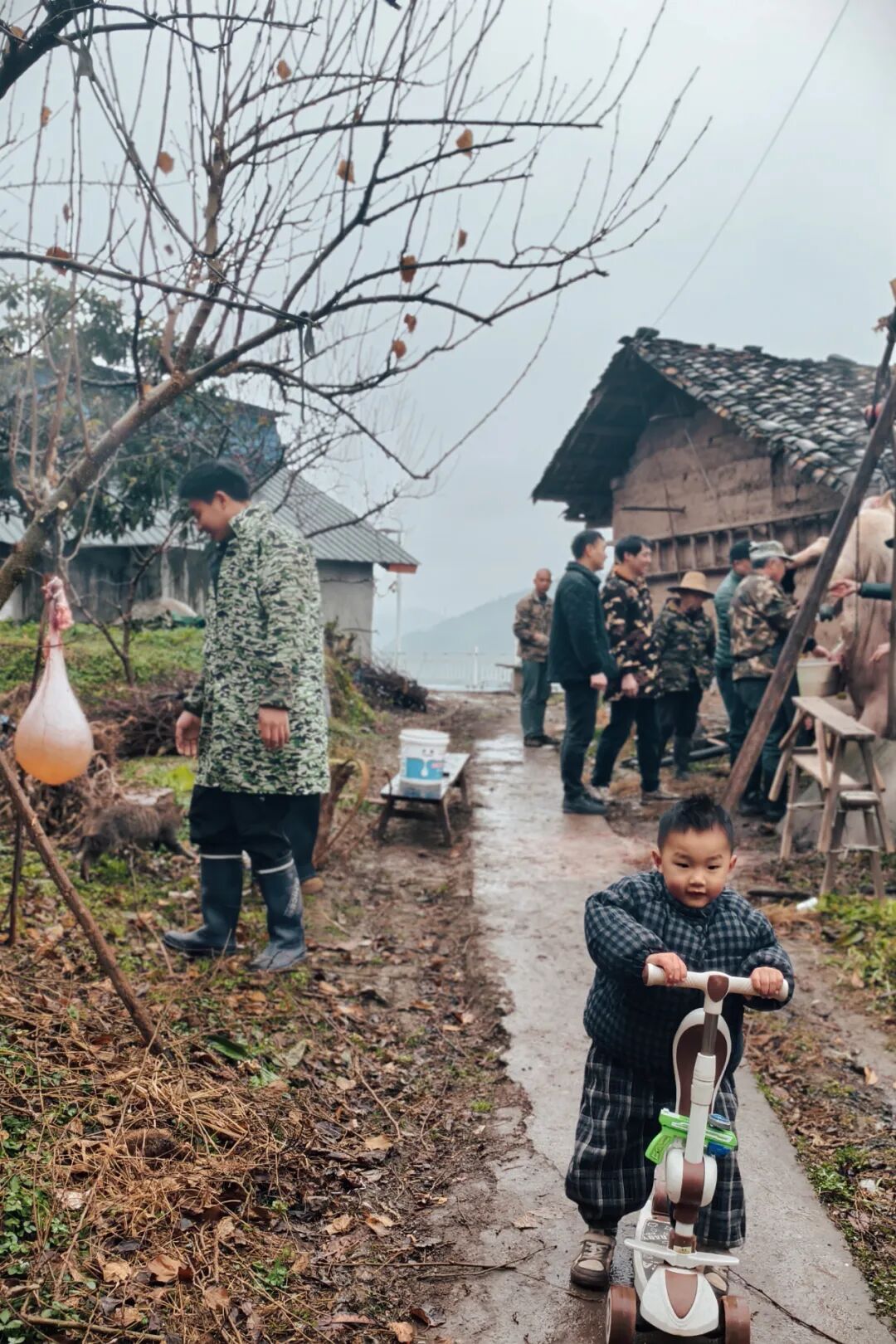 69shuba.ac短剧资讯网