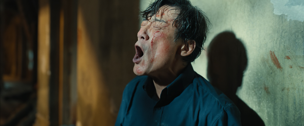 69shuba.ac短剧资讯网