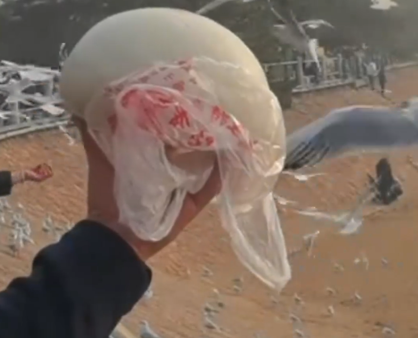 69shuba.ac短剧资讯网