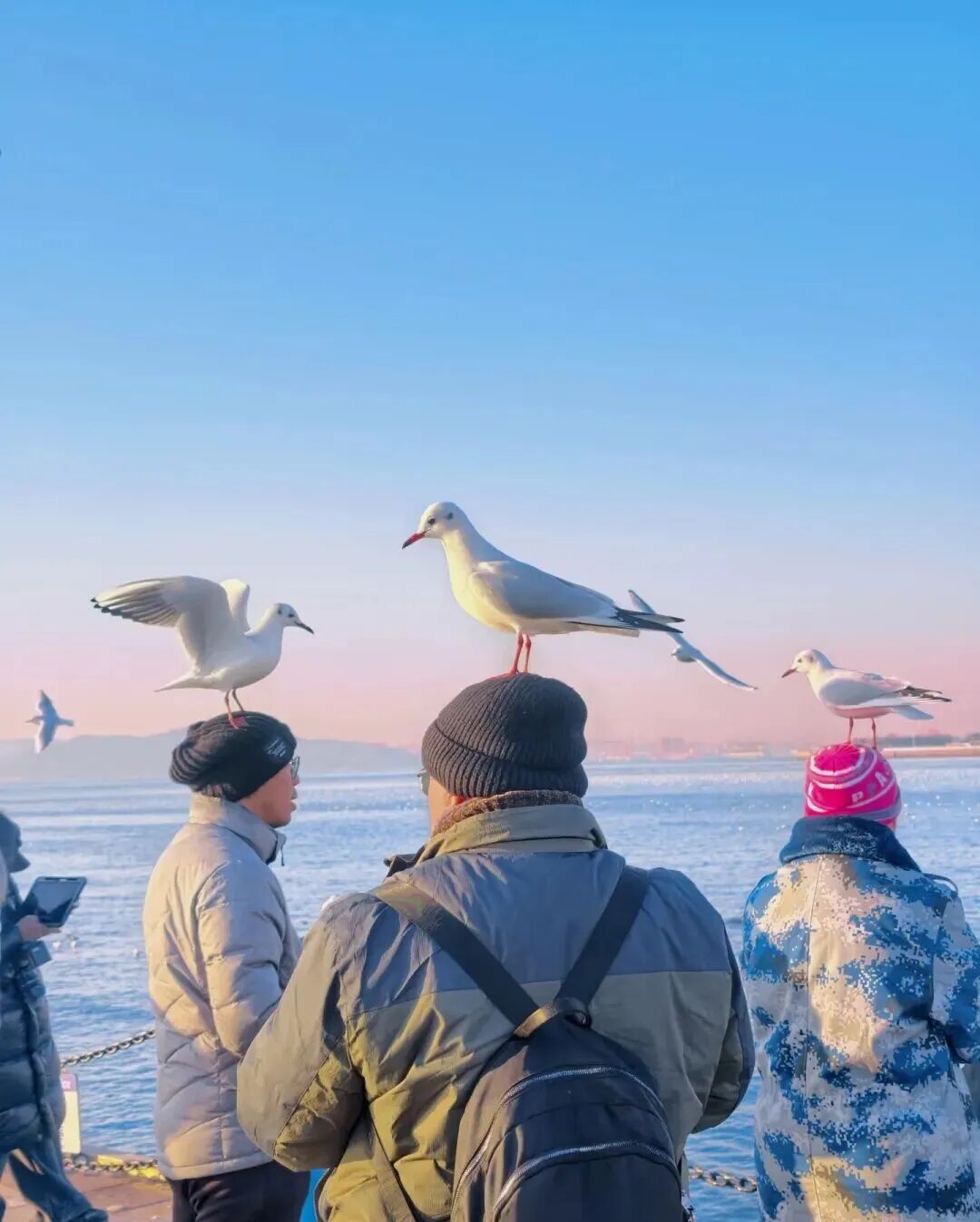 69shuba.ac短剧资讯网