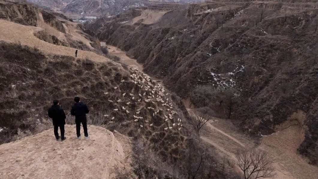 69shuba.ac短剧资讯网