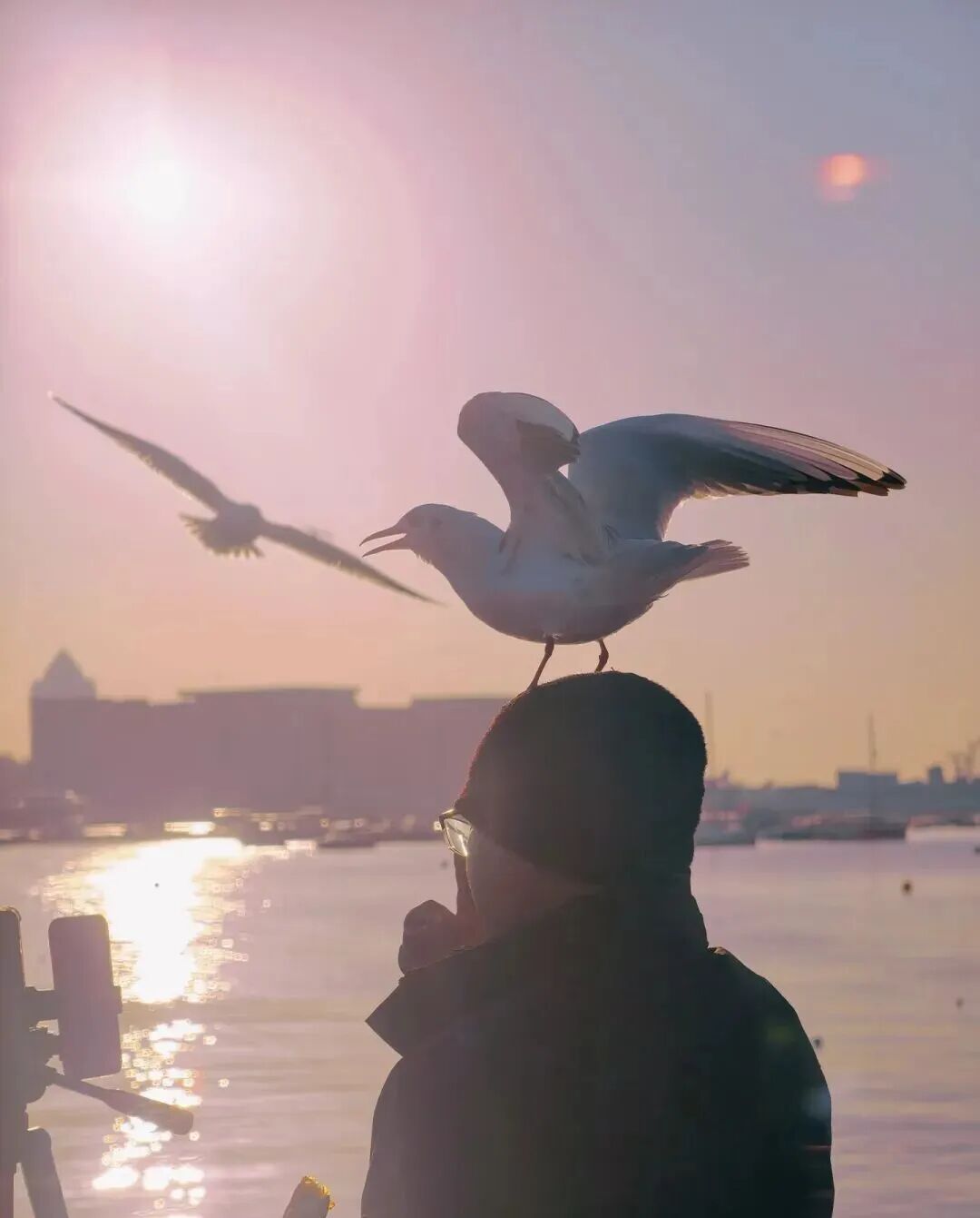 69shuba.ac短剧资讯网