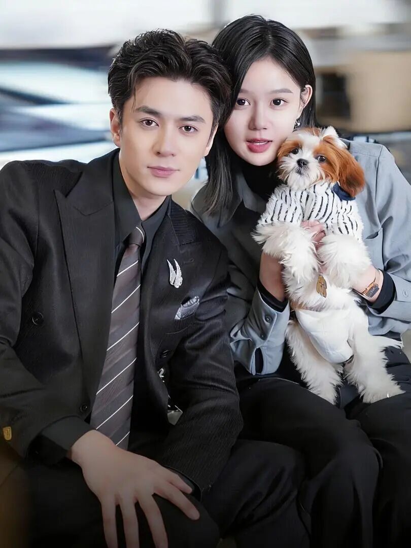 69shuba.ac短剧资讯网