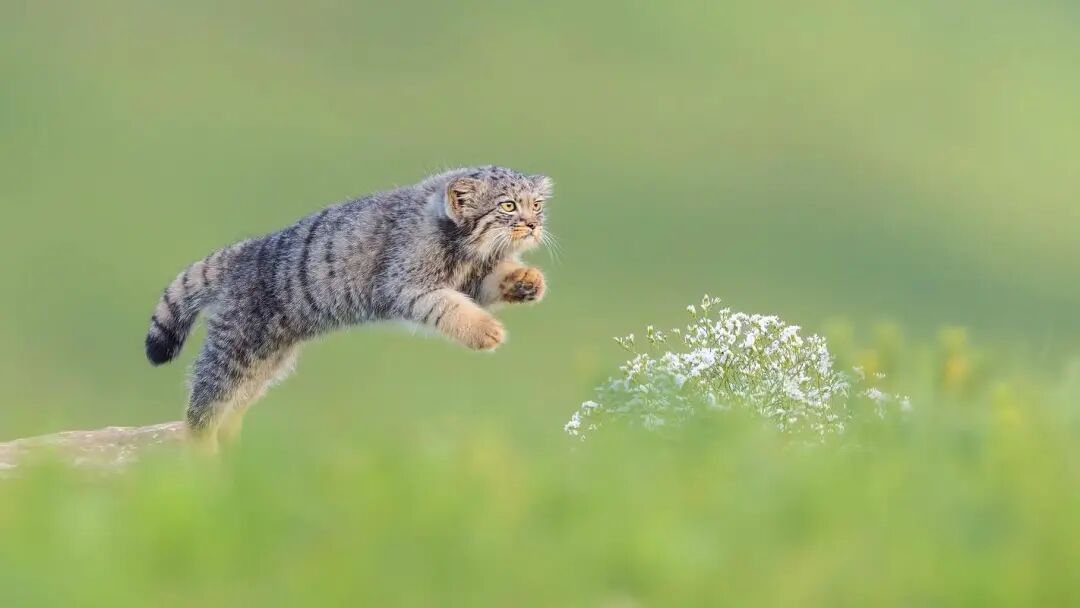 完本养肥精选：赤戟2月书单&middot;2026