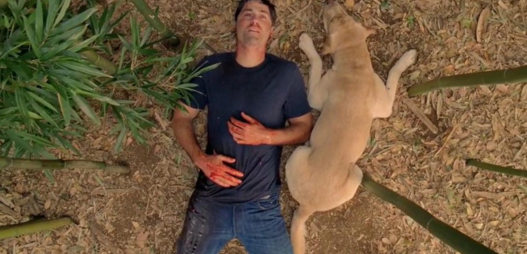 69shuba.ac短剧资讯网