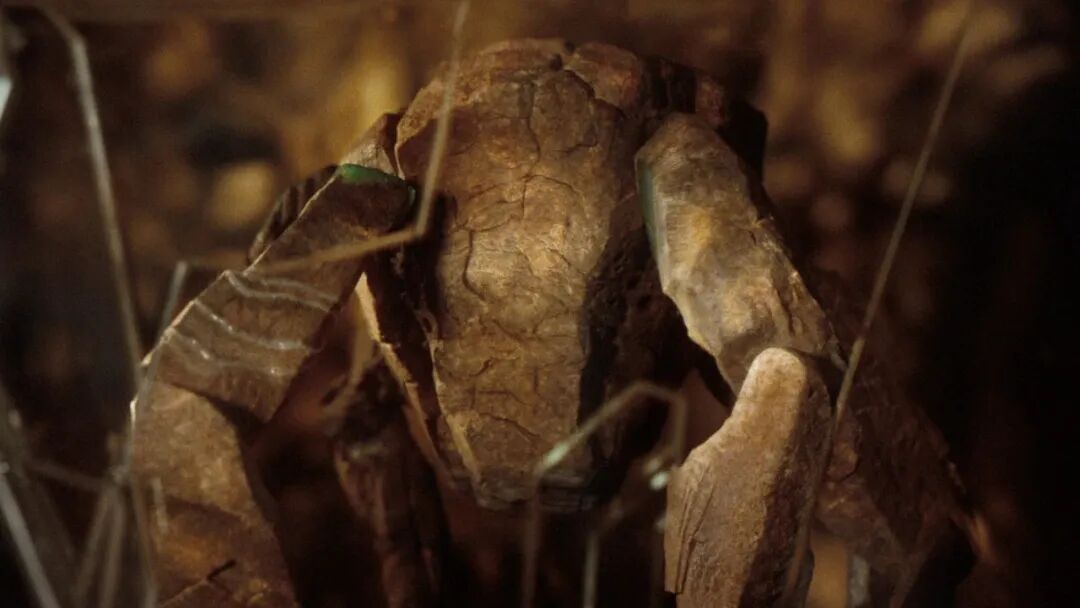 69shuba.ac短剧资讯网