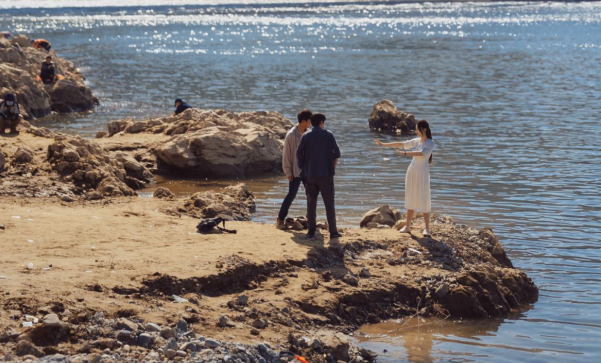 69shuba.ac短剧资讯网