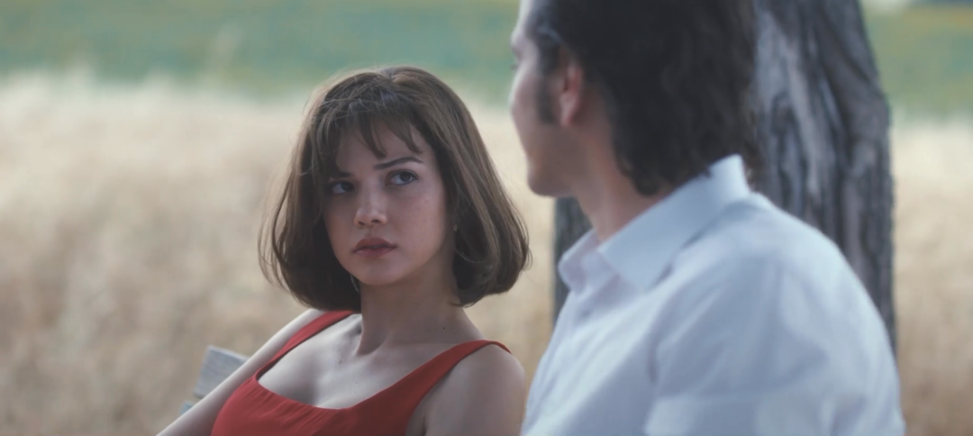 69shuba.ac短剧资讯网