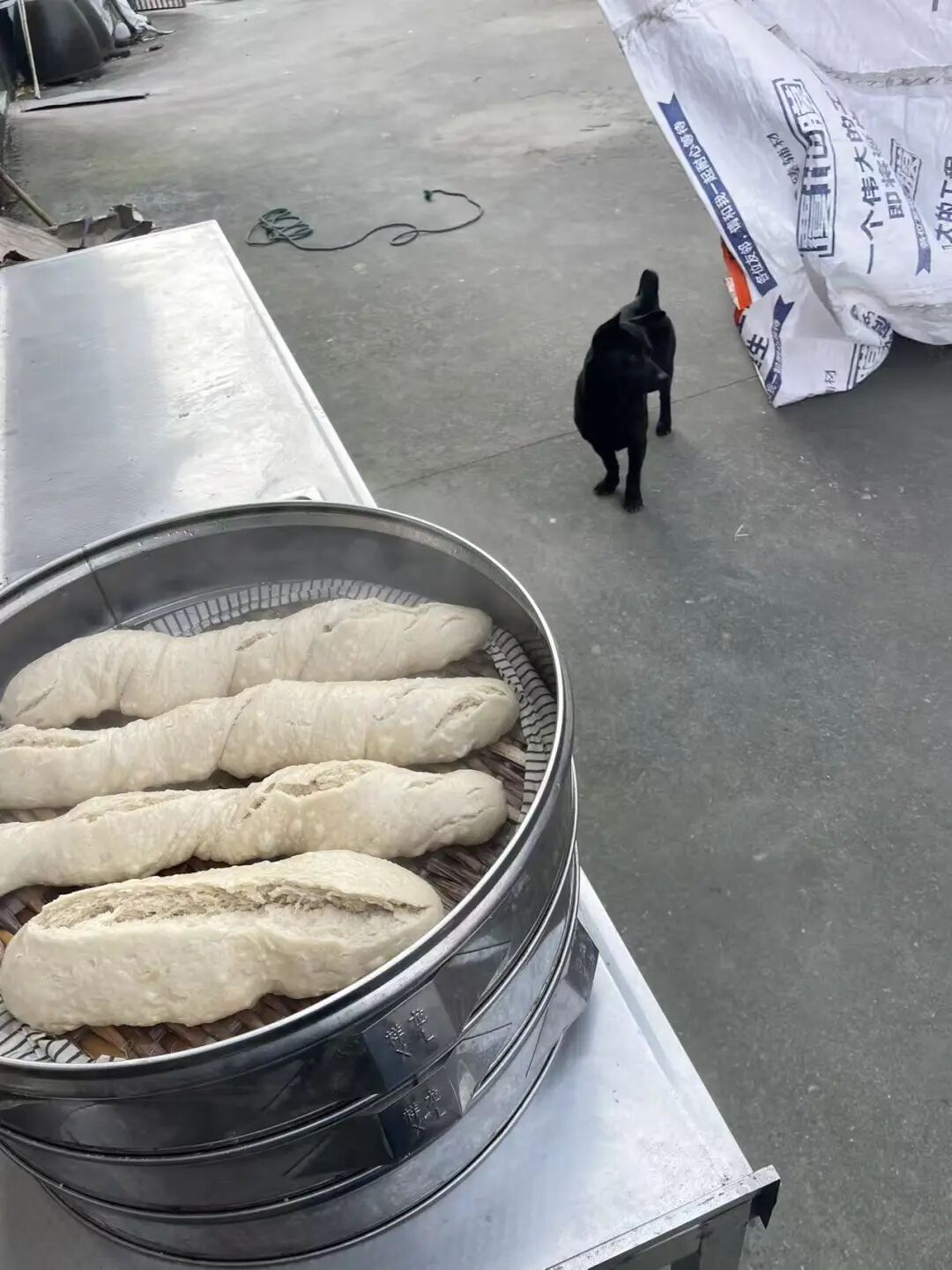 69shuba.ac短剧资讯网