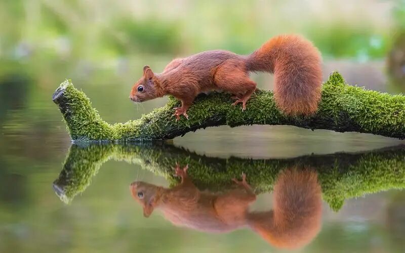 2025&middot;年度盘点&middot;完本佳作排行榜&middot;新春献礼篇