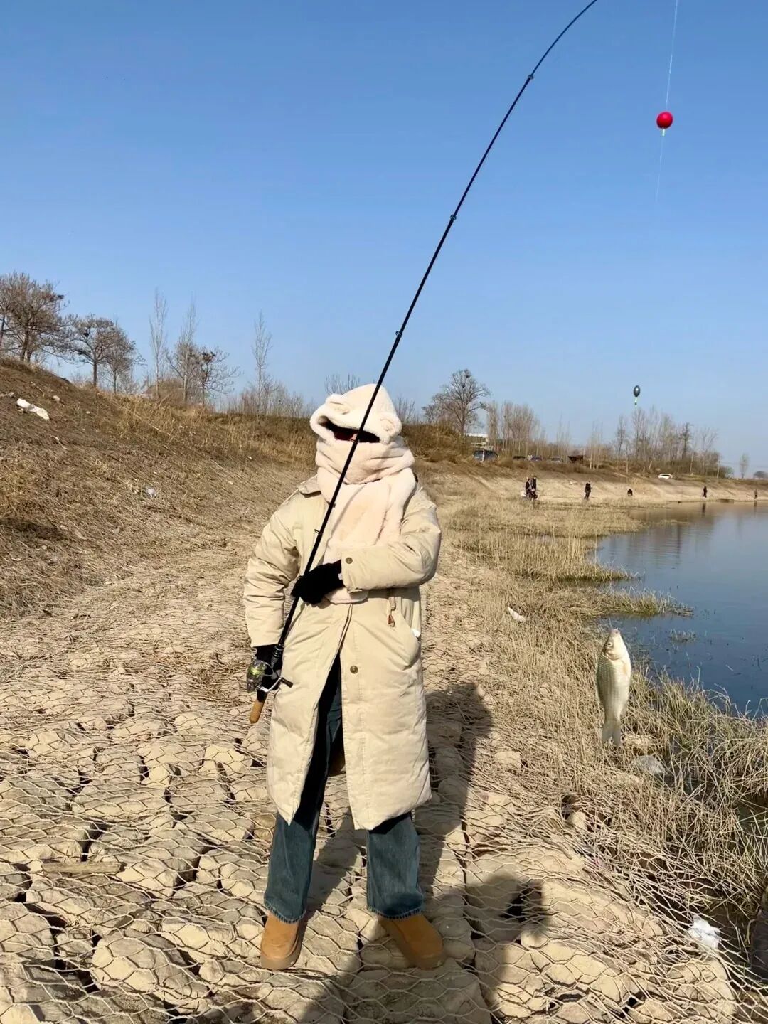 69shuba.ac短剧资讯网