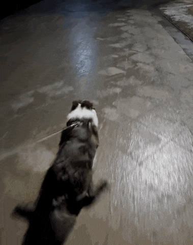 69shuba.ac短剧资讯网