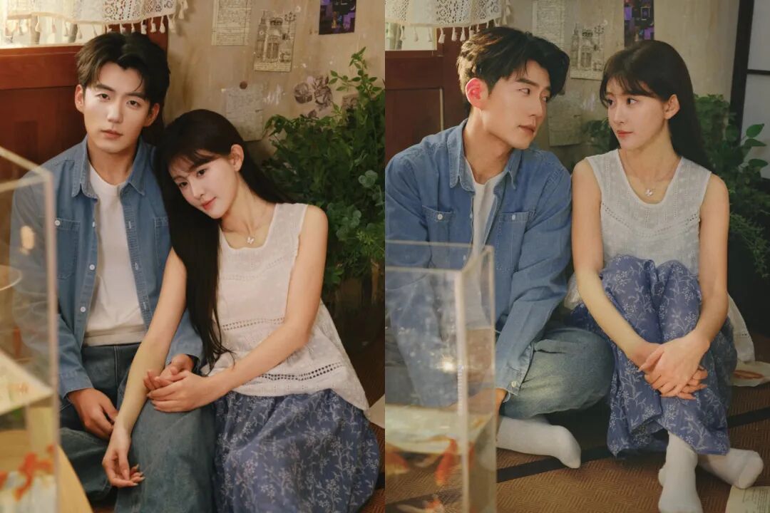 69shuba.ac短剧资讯网