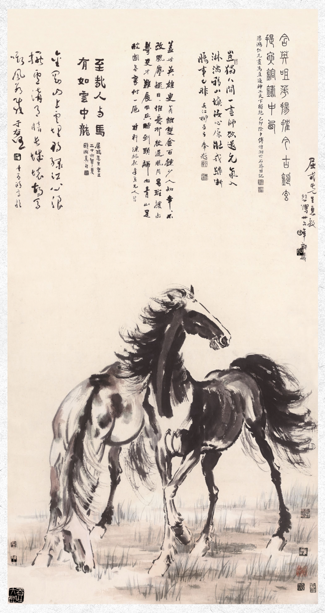 69shuba.ac短剧资讯网