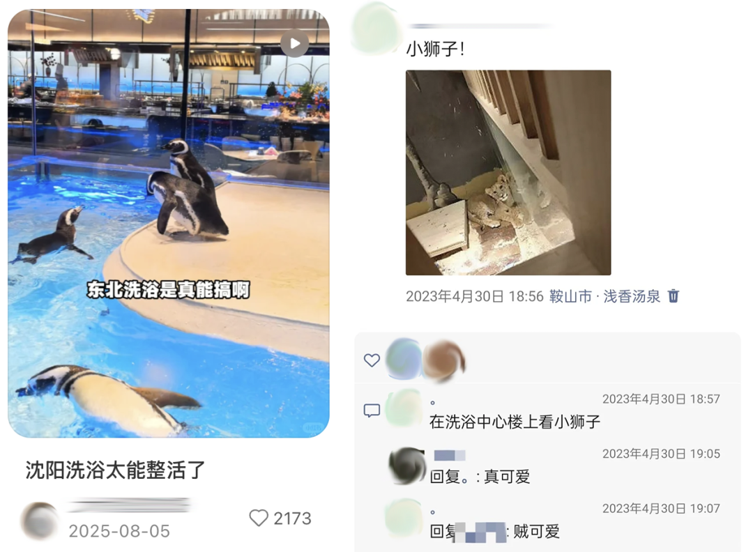 69shuba.ac短剧资讯网