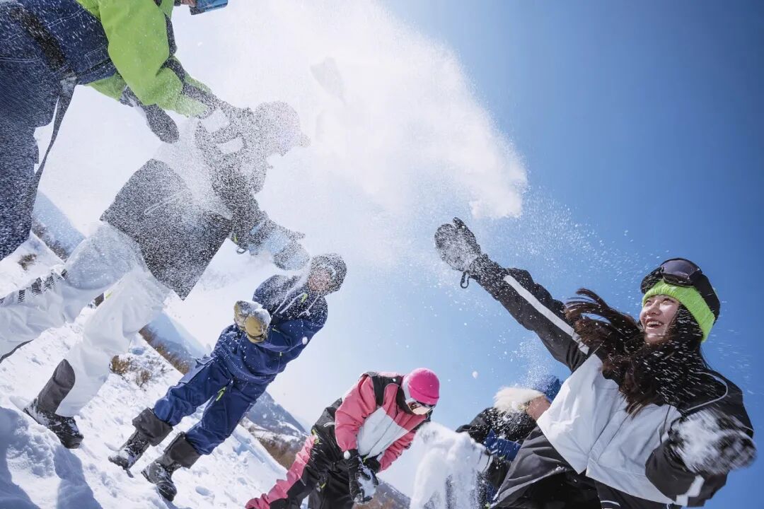 69shuba.ac短剧资讯网