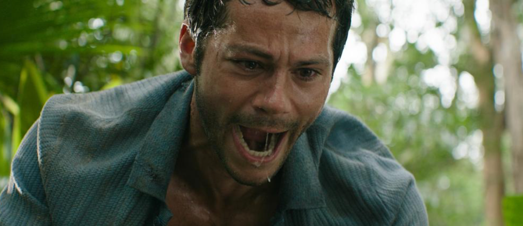 69shuba.ac短剧资讯网