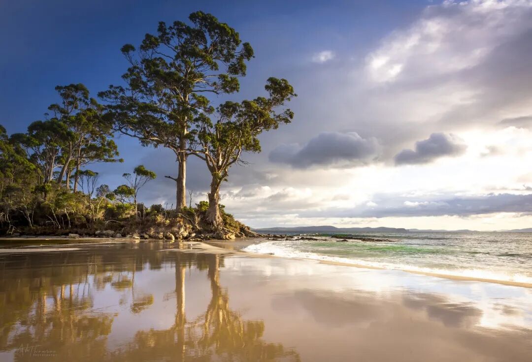 南半球最生猛的岛，挤满花钱&ldquo;流放&rdquo;的年轻人