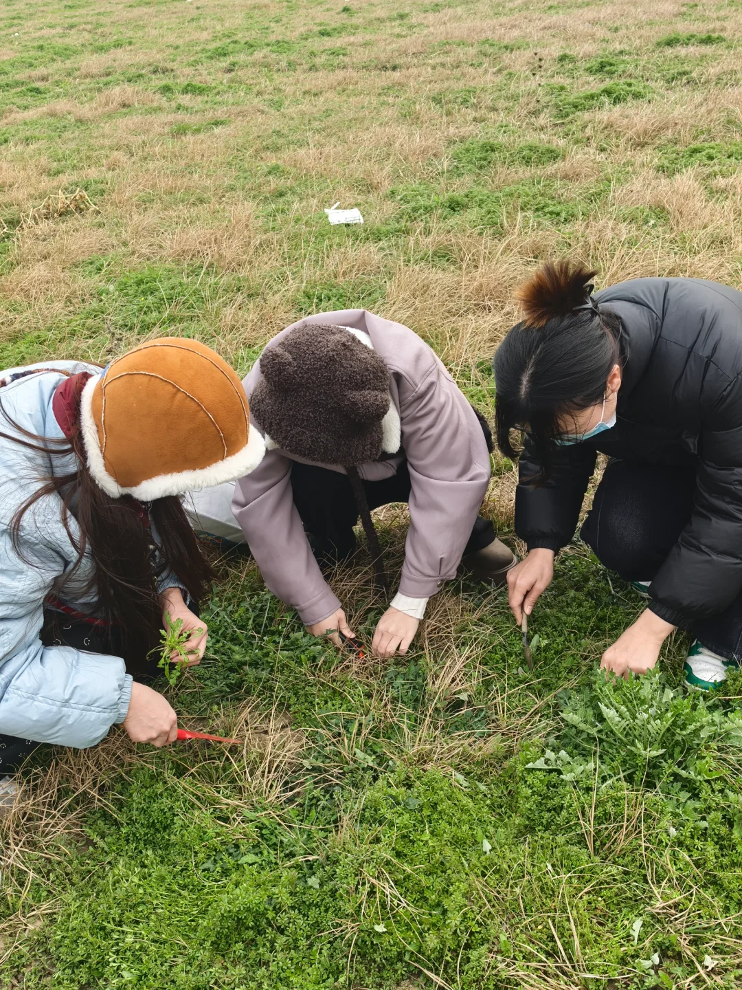 69shuba.ac短剧资讯网