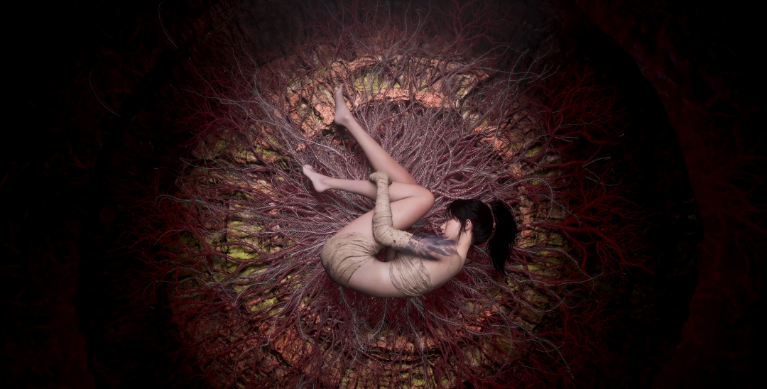 69shuba.ac短剧资讯网