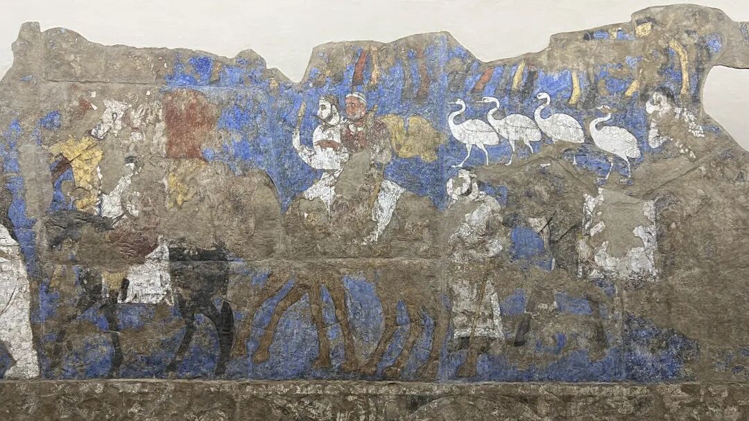 69shuba.ac短剧资讯网