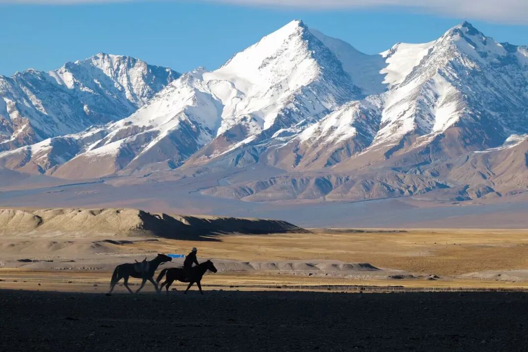 亚欧文明的十字路口，长满了葱