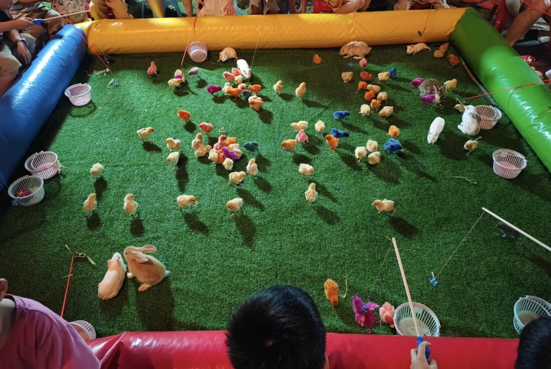 69shuba.ac短剧资讯网