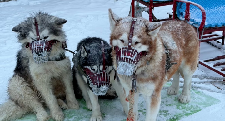 69shuba.ac短剧资讯网