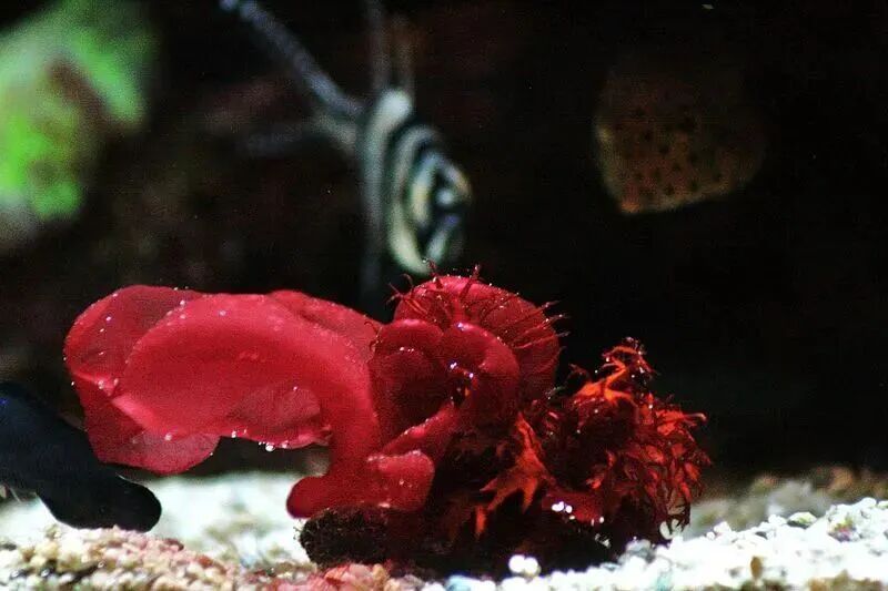 69shuba.ac短剧资讯网