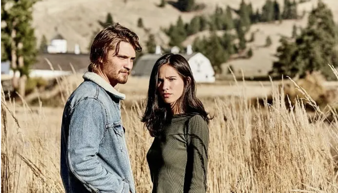 69shuba.ac短剧资讯网